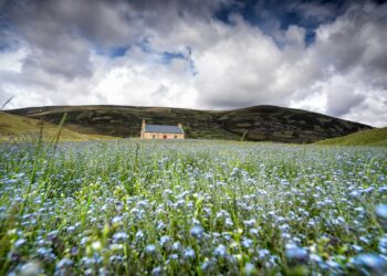 청년도약계좌 조건과 신청방법 금리까지 알기쉽게 알려드릴게요
