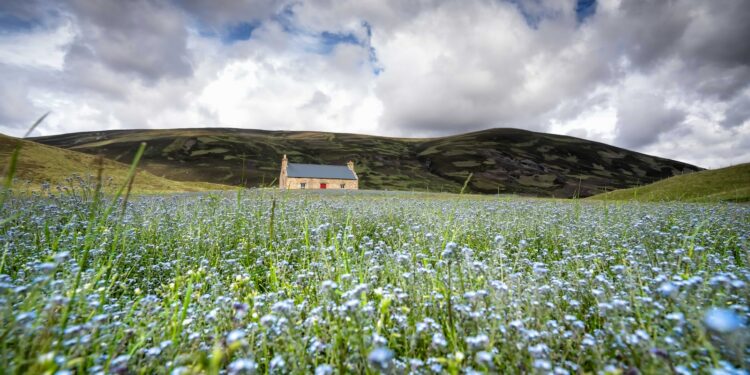 청년도약계좌 조건과 신청방법 금리까지 알기쉽게 알려드릴게요