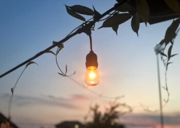 light bulb